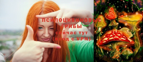 ALPHA PVP Лагань