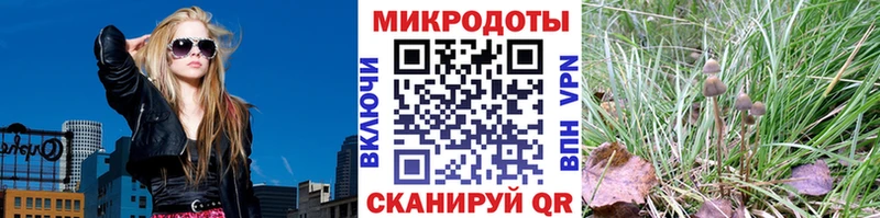 магазин продажи наркотиков  Невельск  Псилоцибиновые грибы мицелий 